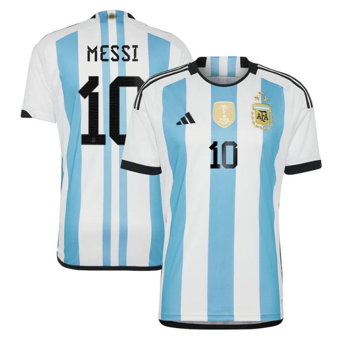 Lionel Messi 10 Argentina National Team 2022/23  Winner Player Jersey - White